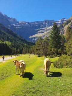 Séjour d'Exception - Villa 4 Suites Vue Cascade - Gavarnie - 6