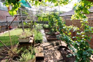 Luisa's Place - Pretoria - 1