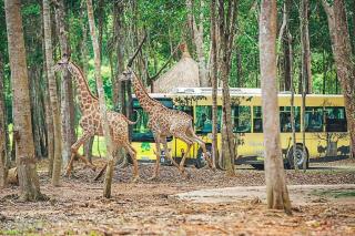 Les Amis Phu Quoc at Grand World - whole house 18pax - Phú Quốc - 2