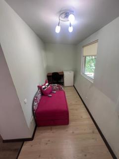 Двох кімнатна квартира на проспекті Шевченка - 1