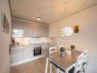 Gorgeous seaside apartment - Julianadorp - 9