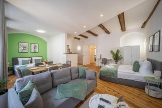 CoView Pirna Altstadt mit Parkplatz - Pirna - 9