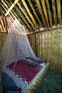Bird of Paradise ECO Lodge - 3
