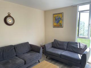 Large 2 bedroom flat Hyde park - Londra - 0