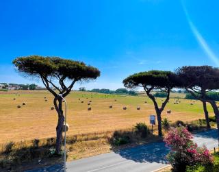 FELYX APARTMENT - Bright, Spacious, and 100 mt from the waves - Lavinio Mare - 7