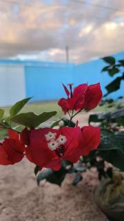 Casa por temporada Dom Miguel - 9