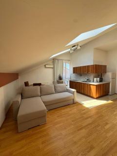 Penthouse by the park - Chişinău - 8