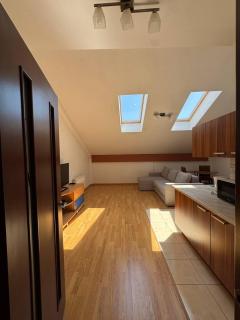 Penthouse by the park - Chişinău - 9