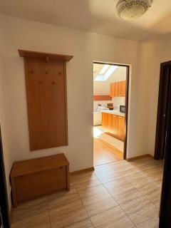 Penthouse by the park - Chişinău - 1