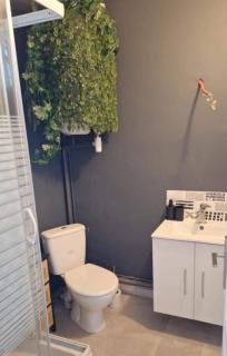 Appartement unique entre bords de Loire et hypercentre - Jargeau - 5