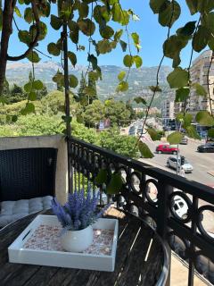 Apartman Anja - Budva - 9
