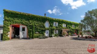 Gîte avec piscine - Graulhet - 0