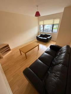 The jockey rest - Galway - 6