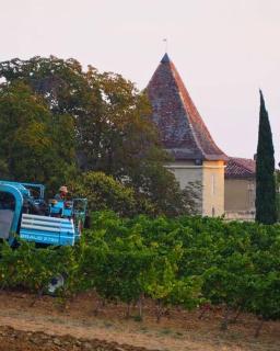 Domaine du Château Larroque - Sainte-Christie - 4