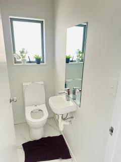 Deluxe Beauty House near Auckland Airport and City - Auckland - 9