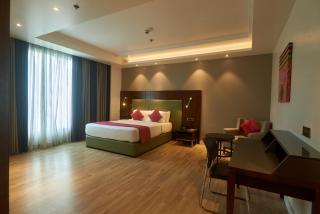 Tania President Inn - Shirdi - 9