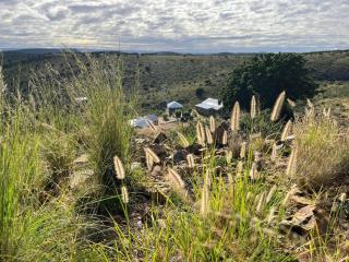 Shama Lodge - "Dassiekrans Guesthouse" - Steytlerville - 3