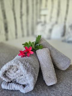 The tiny home - Riebeek-Wes - 9