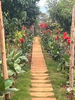 Elmadel Coffee Gardens 5Bedroom Villa Mua Hills 50kms from Nairobi - Machakos - 1