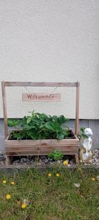 Ferienwohnung Waldblick in Frauenstein - Frauenstein - 8