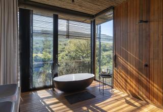 Shamwari Bayethe - Paterson - 1