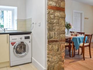 Mariah - Uk47136 - Llanfynydd - 6