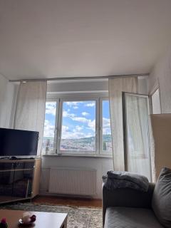 Homey Apartment in Grbavica - 2