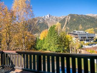 Chaleureux appart 4 pers avec terrasse et wifi, Chamonix centre - FR-1-343-222 - 9
