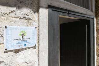 L'albero della vita - Bisceglie - 0