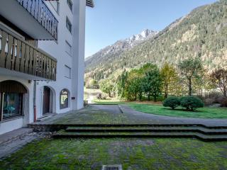 Studio au pied des pistes avec parking et WiFi - FR-1-343-162 - Chamonix-Mont-Blanc - 1