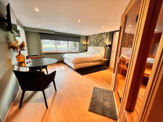 Studio with sauna - 0