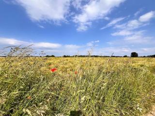 Studio with sauna - 1