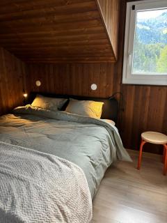 Cozy appartement style chalet - Torgon - 1