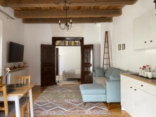 Old Traditional Courtyard House - Braşov - 9