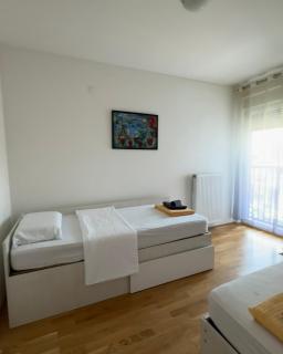 East gate apartment Niš - 2