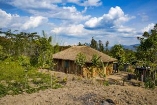 Bird of Paradise ECO Lodge - 8