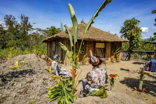 Bird of Paradise ECO Lodge - 9