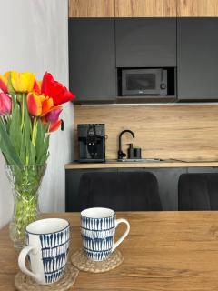 Twoja Przystań SŁAWA- Apartament przy plaży - Sława - 8