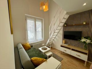 Duplex cosy hyper centre - 6