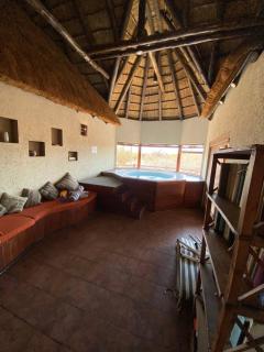 Zebula - African Dream A - Pax 8 - 3