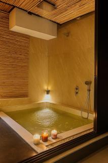 Whispering Greens - Luxe Terrace - Pool & Garden - Gurgaon - 3