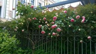 Albergue La Casona Del Peregrino - 2