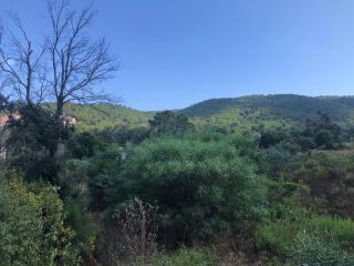 Villa CORSE FAVONE Lagon Bleu - Favone - 7