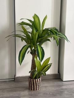 Superbe Maison meublé confort avec piscine - 1