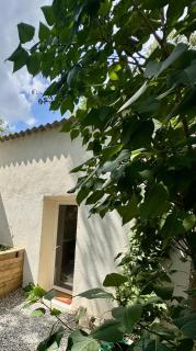 Domaine Saint Roch - Saint-Paul-lès-Durance - 2