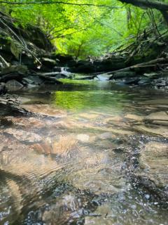 Agroturystyka Lawendowa Dolinka Domki Beskid Niski - 2