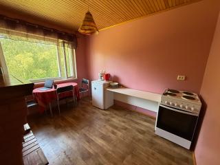 Cozy Apt in Haanja - Haanja - 3