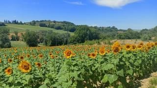 Romantic suite in the village of Castelleone, vicino Deruta, Assisi, Perugia, Montefalco - Canalicchio - 6