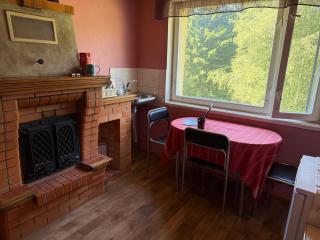 Cozy Apt in Haanja - 5