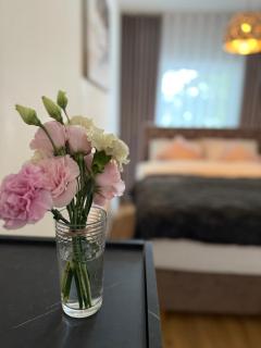 Stacja Kopernik Centrum - 2